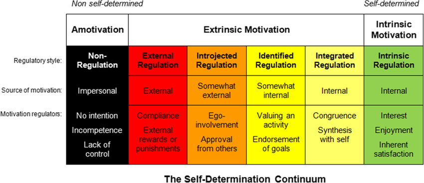 https://humanperformance.ie/what-is-self-determination-theory/