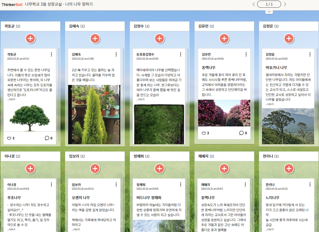 ▲ 나의 나무 정하기