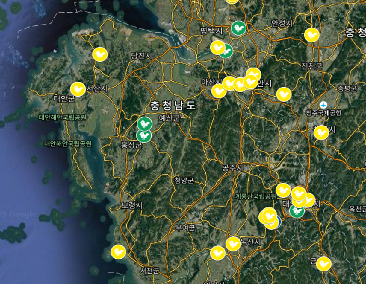 ▲ 코로나 전인 2019년 구글 활용 수업을 하시던 선생님들의 분포도